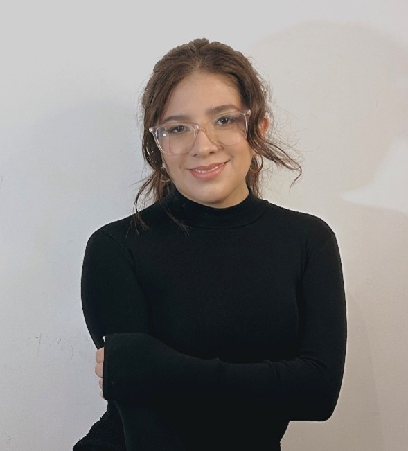 Image hover effect image