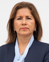 Image hover effect image